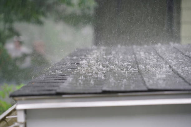 Best Gutter Installation and Repair  in Pelzer, SC